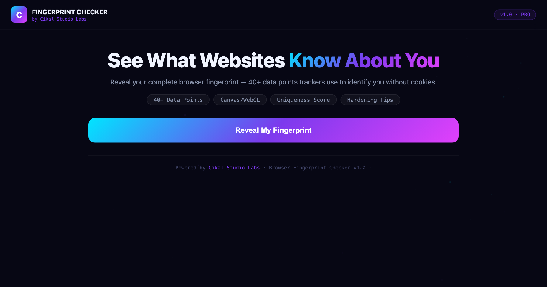 Browser Fingerprint Checker screenshot