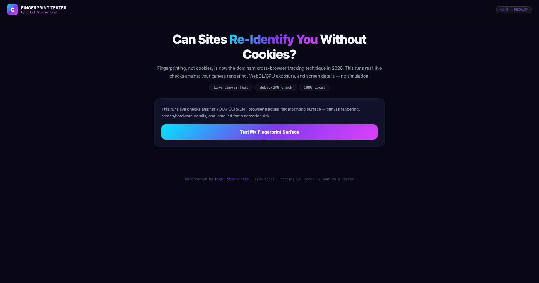 Browser Fingerprint Randomization Tester screenshot
