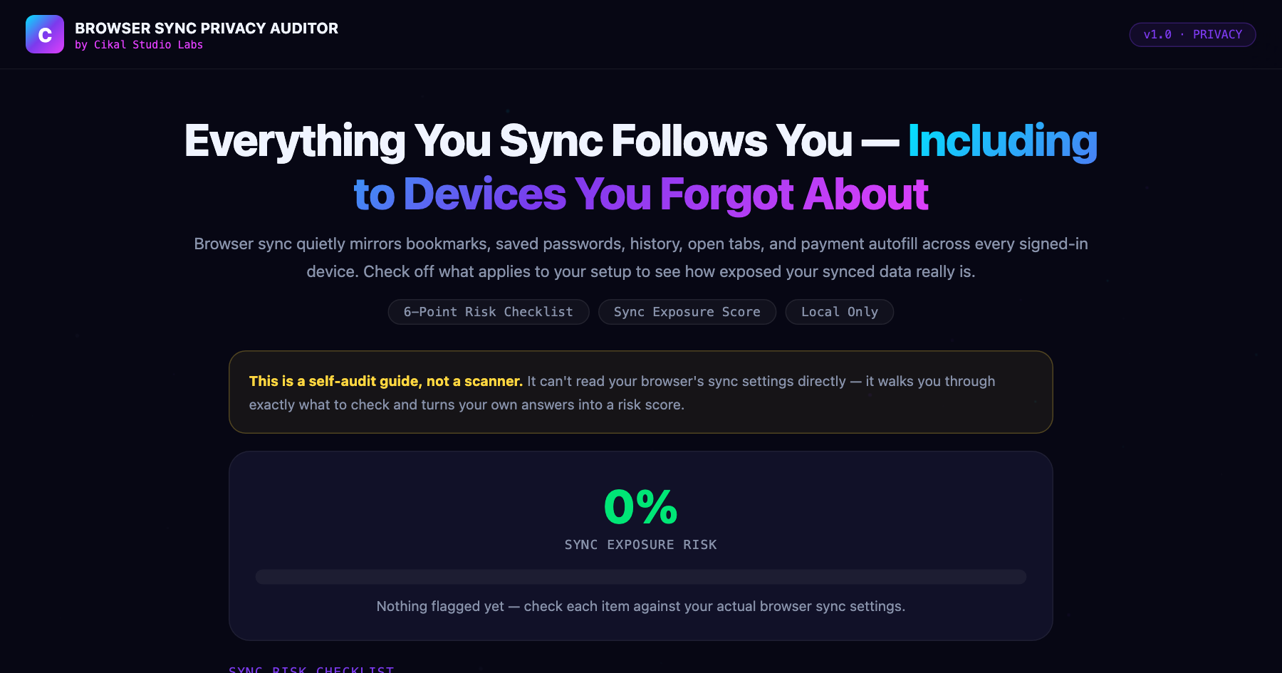 Browser Sync Privacy Auditor — live screenshot of the tool