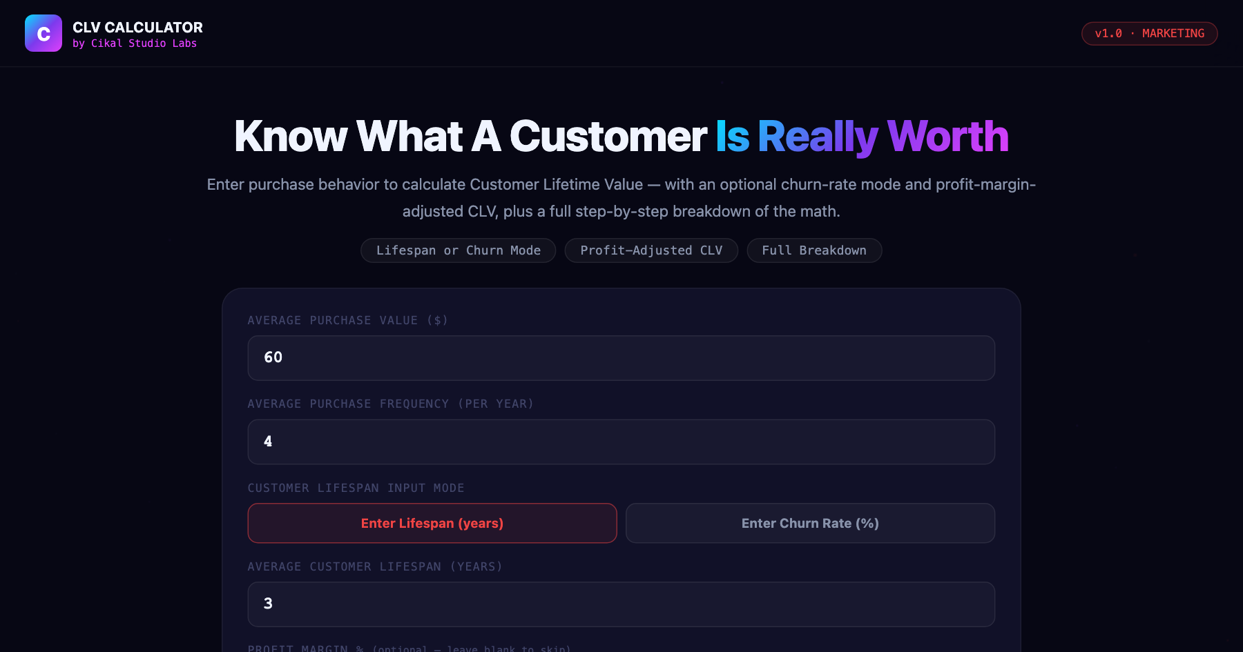 Customer Lifetime Value (CLV) Calculator — live screenshot of the tool