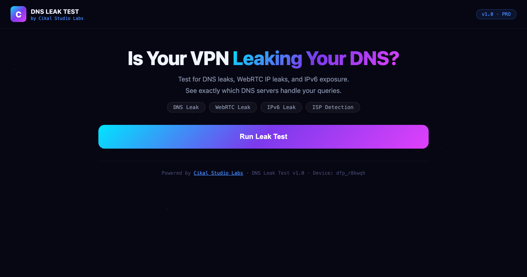 DNS Leak Test Tool screenshot