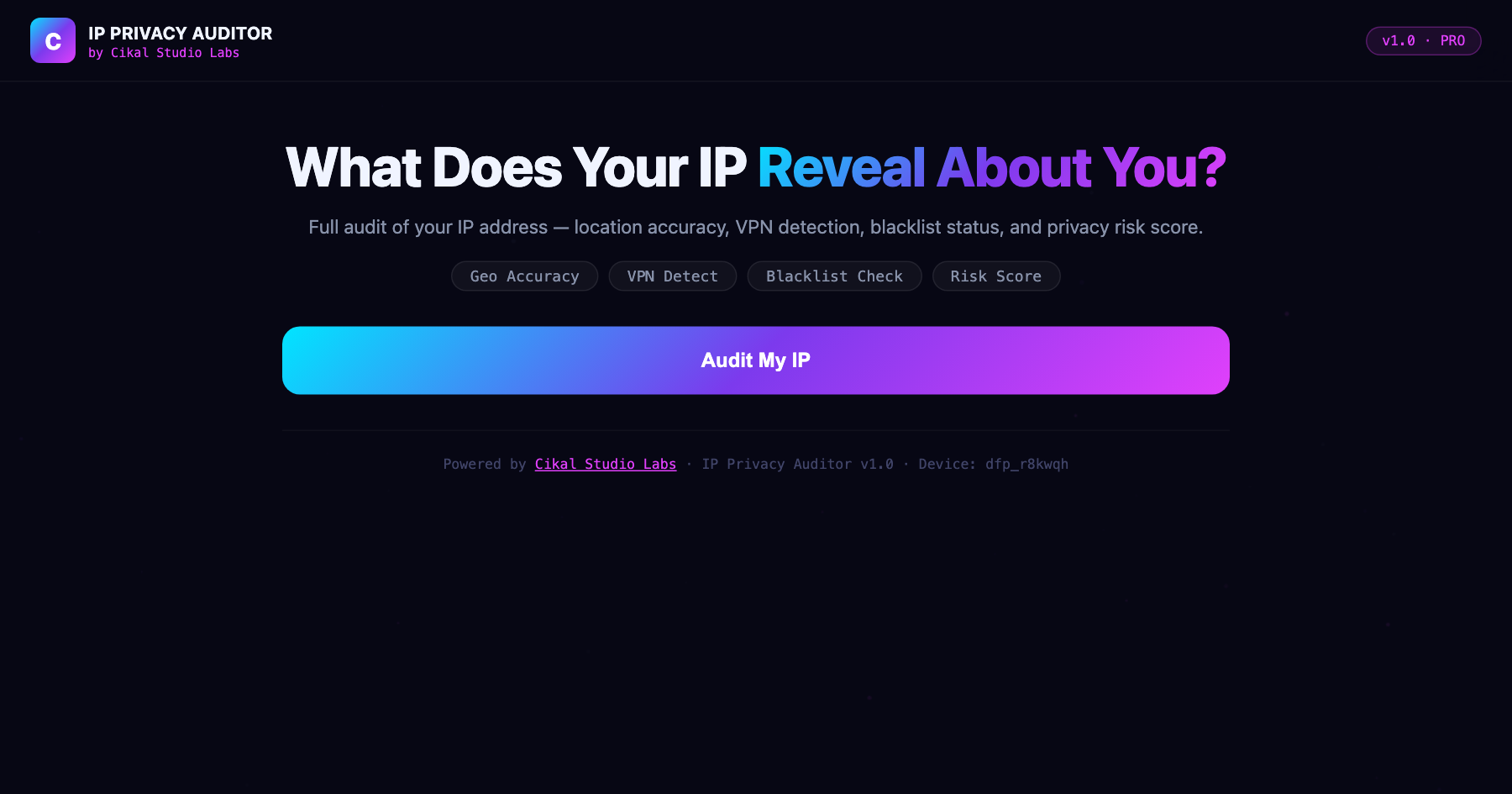IP & Location Privacy Auditor screenshot