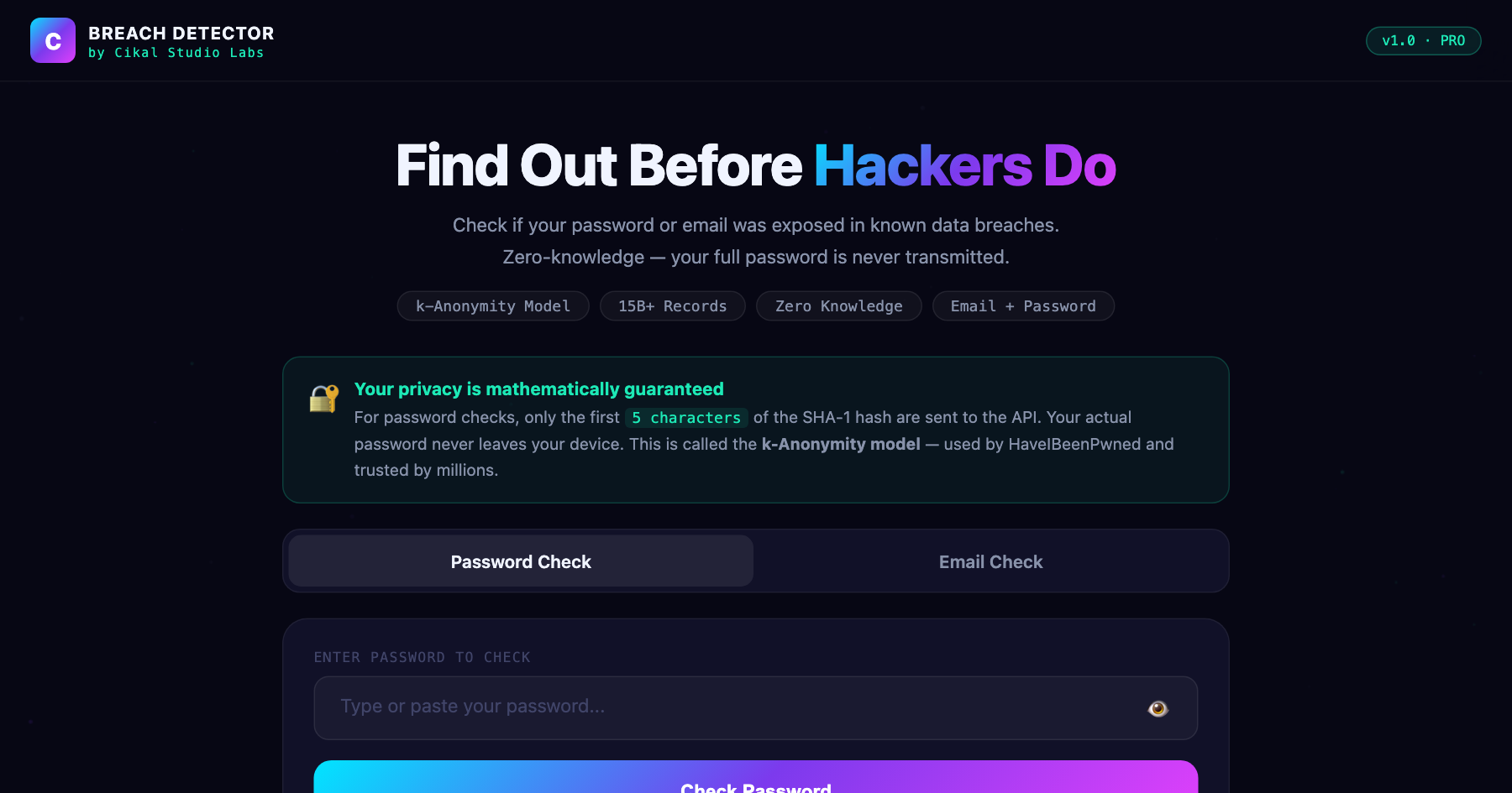 Password Breach Detector screenshot