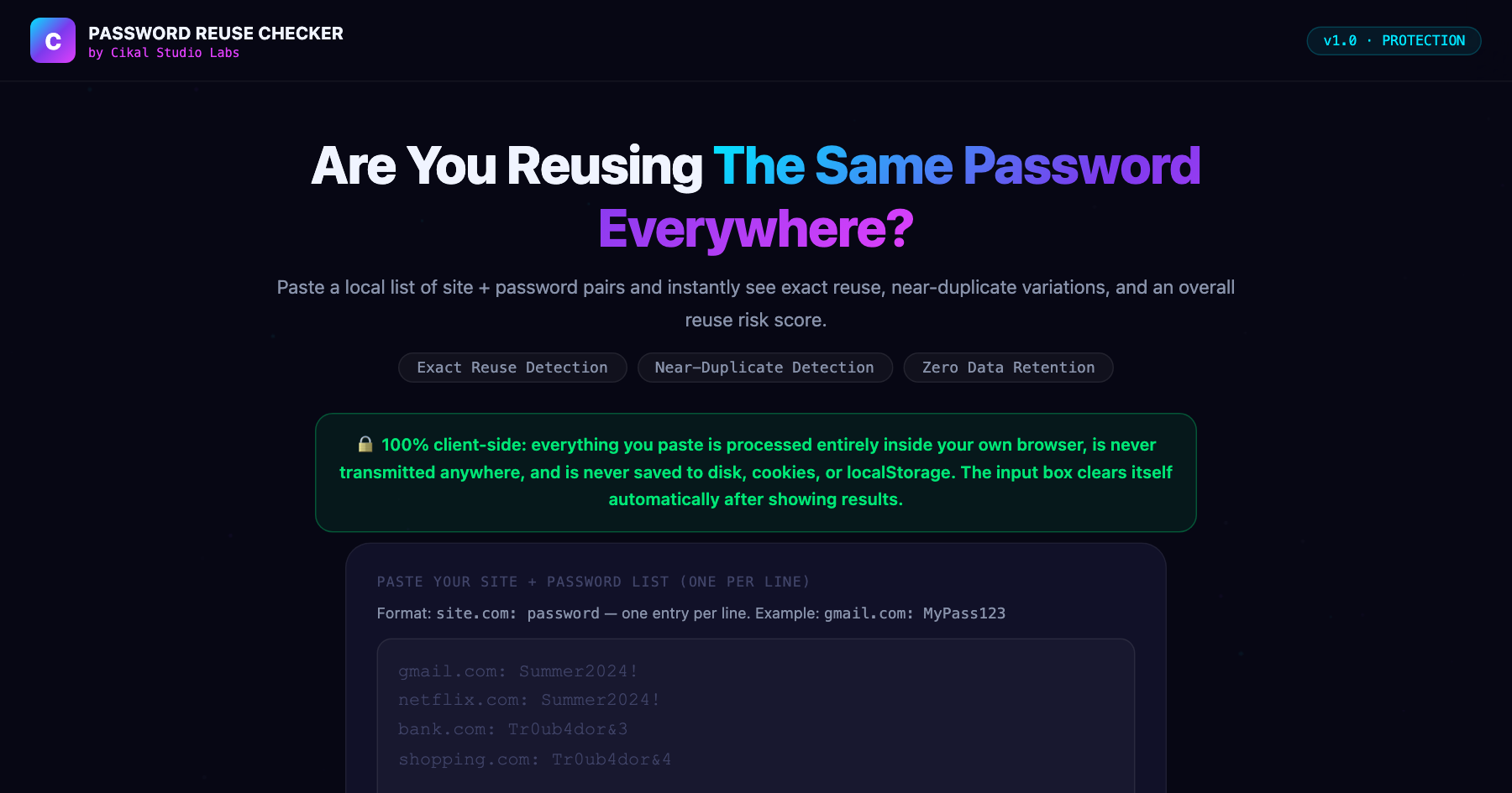 Password Reuse Checker β live screenshot of the tool