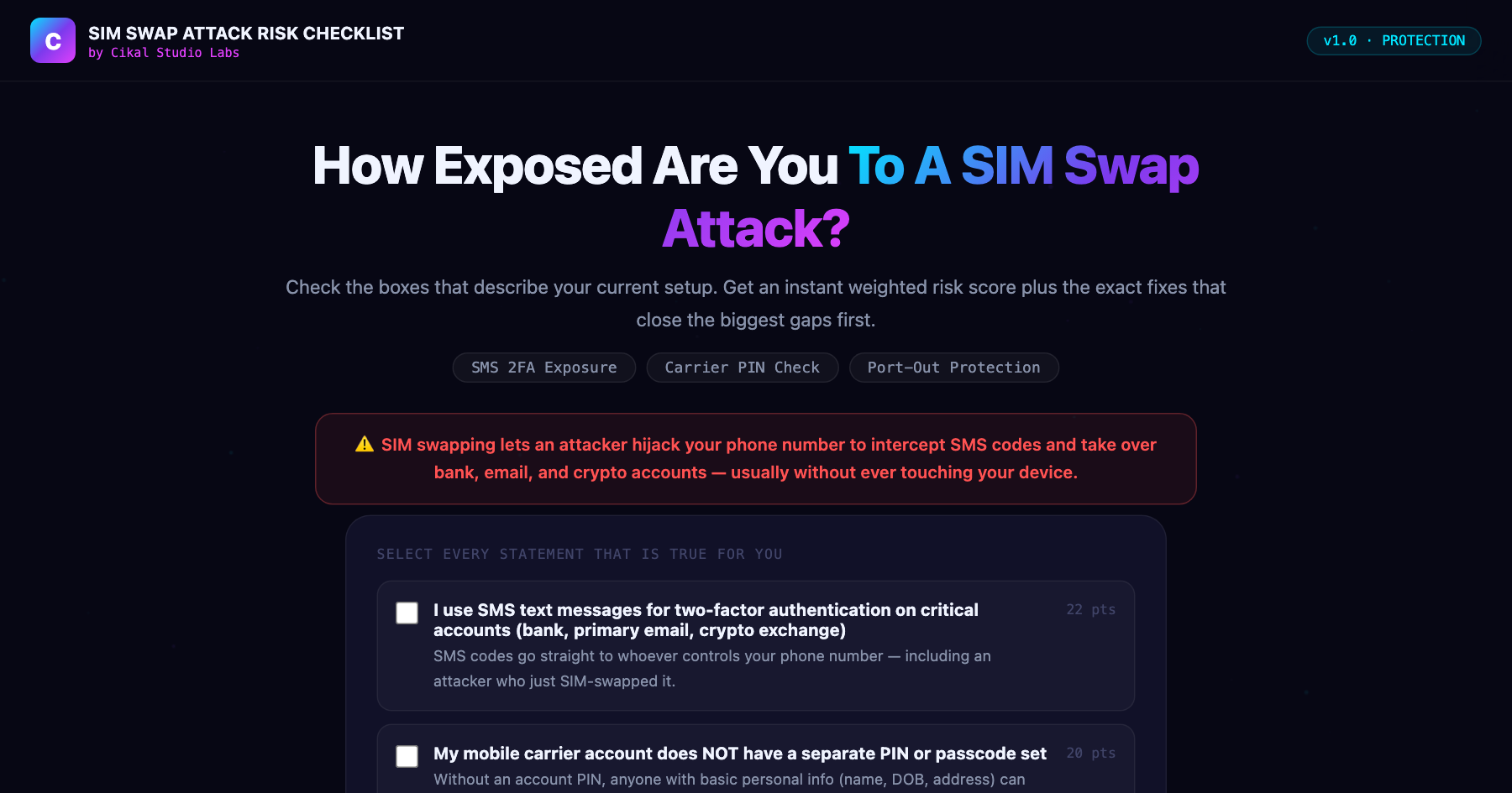 SIM Swap Attack Risk Checklist β live screenshot of the tool